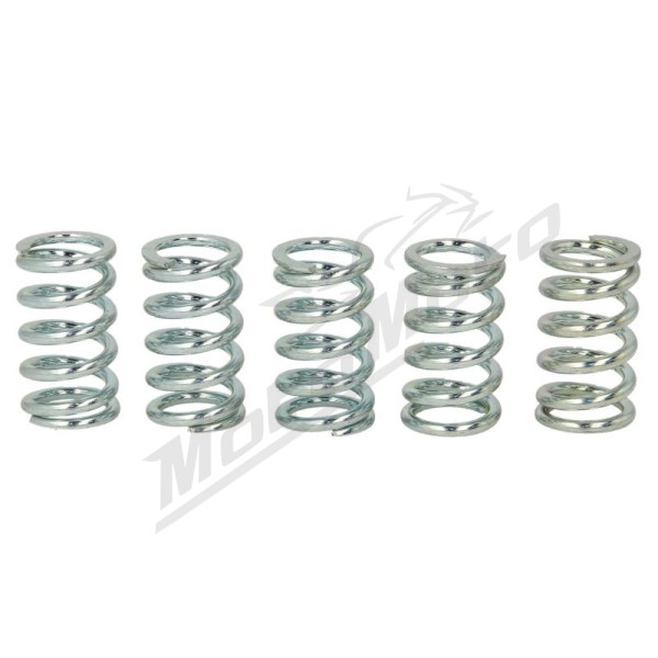 TRW Clutch springs set Kawasaki ER / GPZ / KLE / W / Z 500-1000 79-07