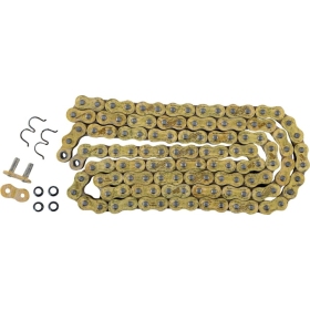 REGINA 520 HPE Series Chain 120 Links 