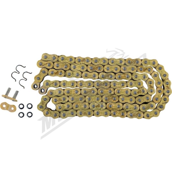 REGINA 520 HPE Series Chain 120 Links 