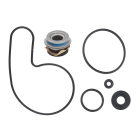 Sno-X vandens siurblio remonto rinkinys Arctic Cat Pantera / Thundercat / ZRT  800-1000 93-02