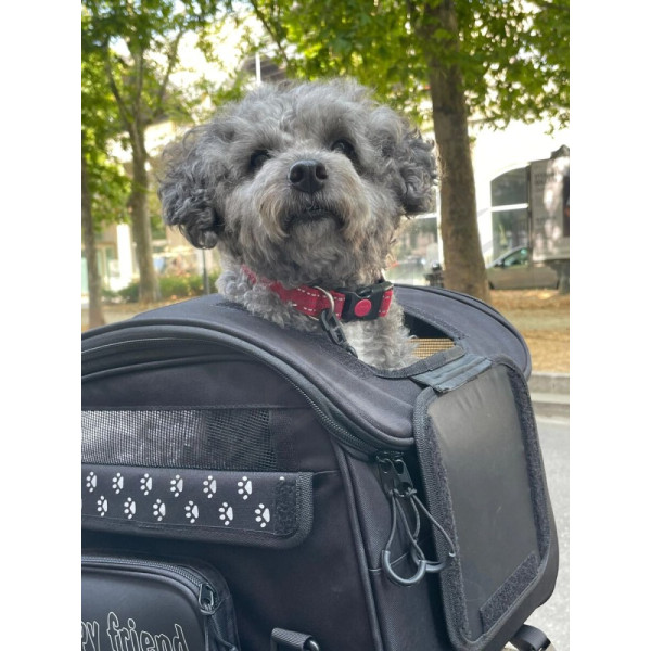 OJ ATMOSFERE METROPOLITANE Pet Bag 30L