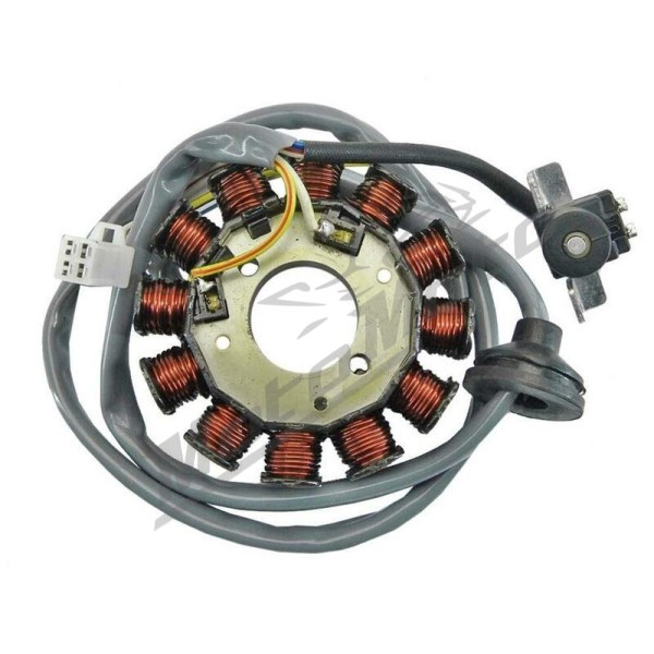 TNT Generatorius Yamaha / MBK Minarelli Motoroleriams 02-16