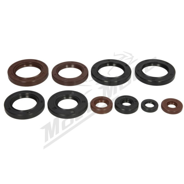 Winderosa Engine gaskets set (quantity per set 10 pcs) Can Am Commander / Defender / Outlander / Renegade / Maverick 500-1000 11-24