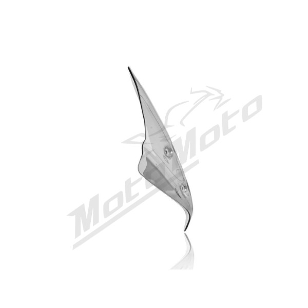 WRS BM055F STANDARD Priekinis stiklas Lengvai Tamsintas BMW R1250R ABS 19-24