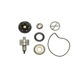 RMS Vandens pompos remonto kompl. Gilera / Piaggio 200-300 04-10
