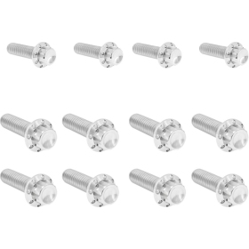 ARLEN NESS Transmission Side Cover & Trap Door Titanium 12-Point Bolt Kit 12pcs. M8