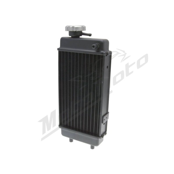 101 OCTANE Radiator Generic TR / Trigger 50 06-19