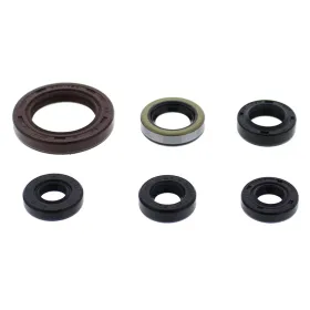 Winderosa (vertex) set (set) of engine seals Suzuki LT-Z 400 09–14