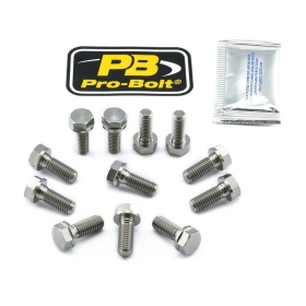 PRO BOLT Titanium Brake Rotor Mounting Bolt Kit Aprillia / Ducati / Polaris 748-1100cc 93-24