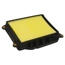 Air filter CHAMPION ​​​​​​​Yamaha YP400 2004-2018