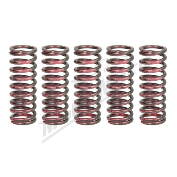 TRW Clutch springs set Honda CBR 1000 04-07