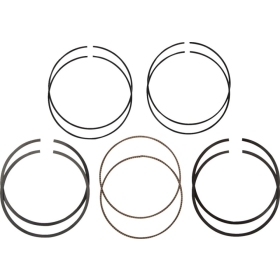 HASTINGS Replacement Piston Rings Harley Davidson FLFBS / FLH / FLHCS / FLHRXS / FLHCUTG / FXFBS / FXLRS 1868 17-21