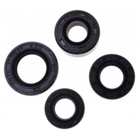 Oil seals 11,6x24x10 / 13,7x24x5 / 12x21x4 / 17x29x5 4pcs