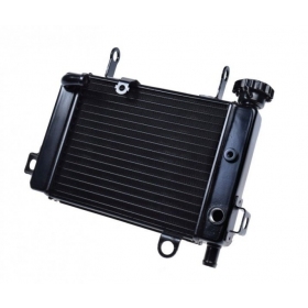 Radiator HONDA CBR125