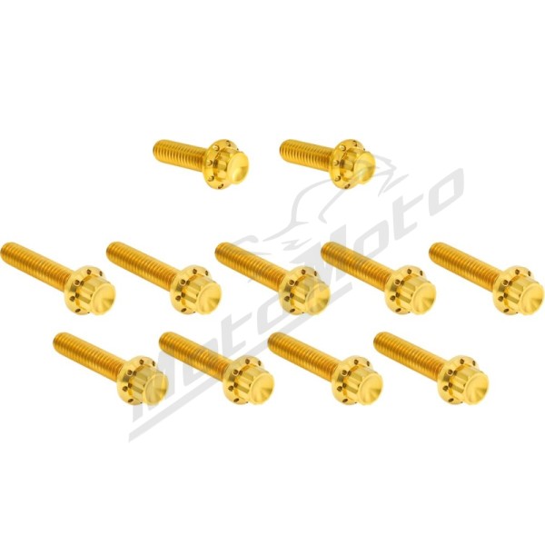 ARLEN NESS Cam Cover/Point Cover Titanium 12-Point Bolt Kit 12pcs. M8