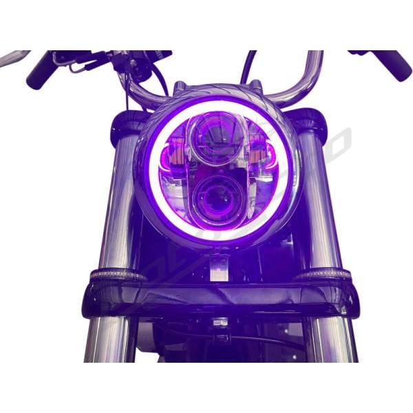 CUSTOM DYNAMICS ProGLOW™ LED Headlamp with Color Changing Halo Harley Davidson FLSTSB / FLSTSE 883-1800cc 81-24