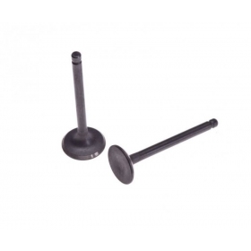 Valve kit GY6 125cc