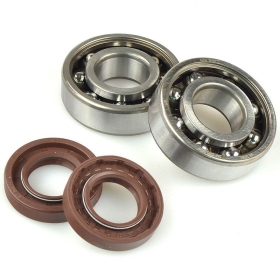 CENTAURO Crankshaft Bearings, Oil Seal Set DERBI D50B0 / EBS050 50 2T