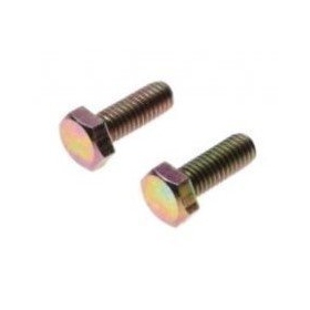 Bolts M6x1 (length 16mm) 2pcs