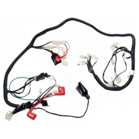 Wiring harness BARTON FIREFOX/ FERRO 805/ JUNAK 805/ LONGJIA FIREFOX 50cc