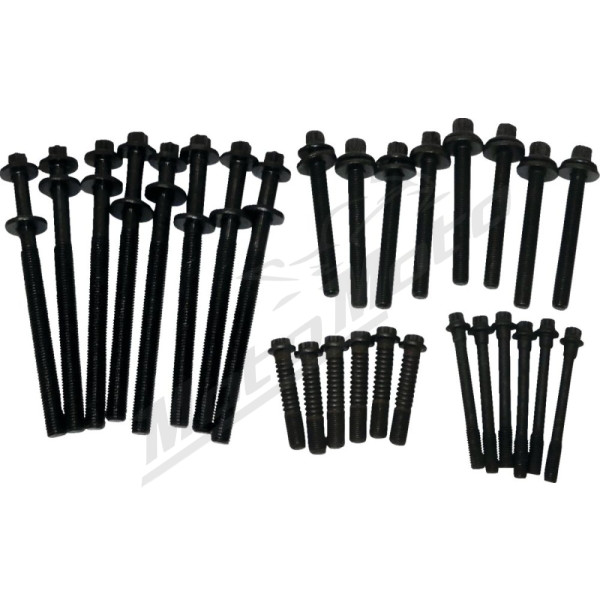 WSM Bolt Kit