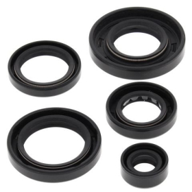 Winderosa (vertex) set of engine seals Polaris 350-400 93-02