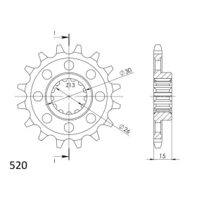 Supersprox / JT Front sprocket 520 17T BMW Hp4 / M1000RR / S1000R / RR / XR 1000cc 09-22