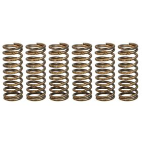 TRW Clutch springs set Honda CRF 450 02-09