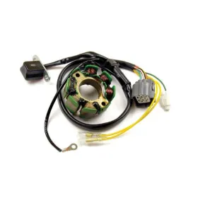 ELECTREX Stator Suzuki / Kawasaki 250cc 04-05