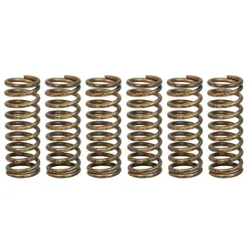 TRW Clutch springs set Honda CRF 450 02-09