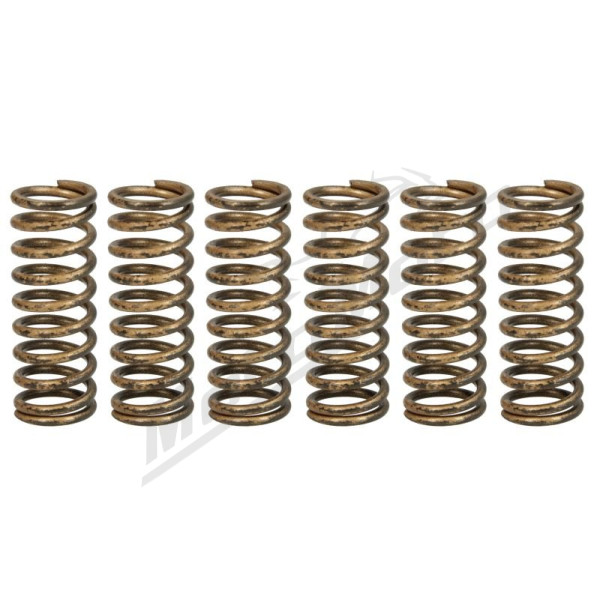TRW Clutch springs set Honda CRF 450 02-09