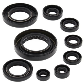 Winderosa (vertex) set of engine seals Honda TRX 420-500 07-19