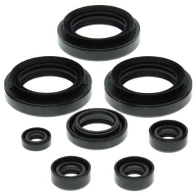 Winderosa (vertex) set (set) of engine seals Suzuki LT-4WD / LT-F 250 87-02