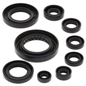 Winderosa (vertex) set of engine seals Honda TRX 420-500 07-19