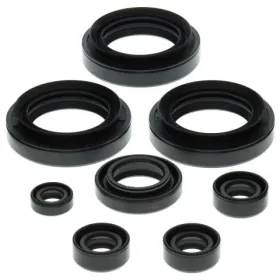 Winderosa (vertex) set (set) of engine seals Suzuki LT-4WD / LT-F 250 87-02