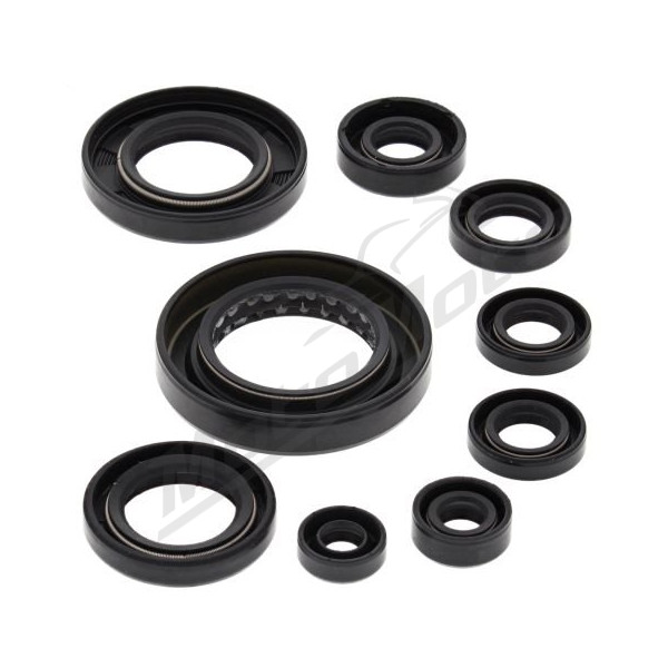 Winderosa (vertex) set of engine seals Honda TRX 420-500 07-19