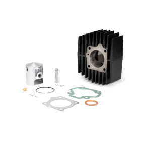 Cylinder MALOSSI Sport Ø45.5 Pin Ø10 Honda 50cc 78-91 AIR 2T