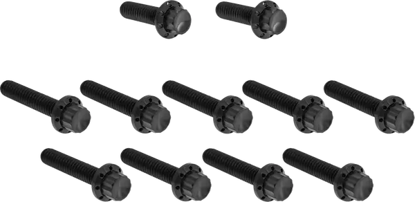 ARLEN NESS Cam Cover/Point Cover Titanium 12-Point Bolt Kit 12pcs. M8
