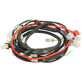 Wiring harness CHINESE SCOOTER 50cc 2T R12