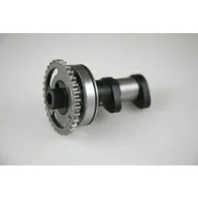 Hot Cams paskirstymo velenas Kawasaki / Suzuki 250 04-10