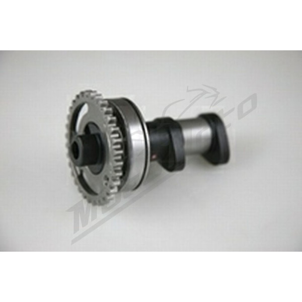 Hot cams camshaft Kawasaki / Suzuki 250 04-10