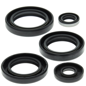 Winderosa (vertex) Engine oil seal kit Kawasaki KVF 400 97-02