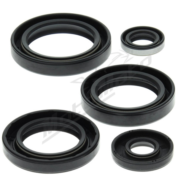 Winderosa (vertex) Engine oil seal kit Kawasaki KVF 400 97-02