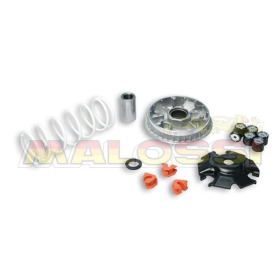 Variatoriaus kompl. MALOSSI Multivar Kawasaki / Kymco 125-150cc 4T (20x17)