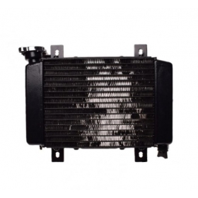 RADIATOR WITH FAN ATV200 ST-9