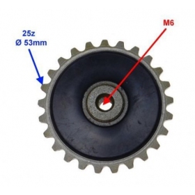 Oil pump gear CHINESE SCOOTER / ATV 4T 25teeth