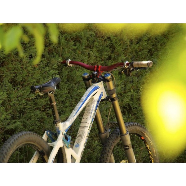 ALL MOUNTAIN STYLE Frame Guard Extra Protection Ape