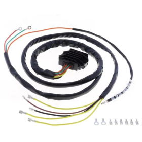 Athena Srovės lygintuvas BMW / Moto Guzzi 450-1000cc 73-01
