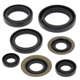 Winderosa (vertex) set (set) of engine seals Yamaha YFB 250FW Timberwolf 94–00