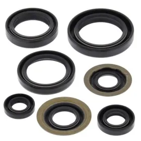 Winderosa (vertex) set (set) of engine seals Yamaha YFB 250FW Timberwolf 94–00